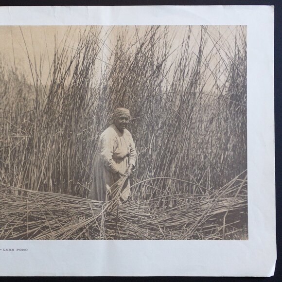 GATHERING TULES - LAKE POMO #150 Edward Sheriff Curtis Print - Picture 11 of 16